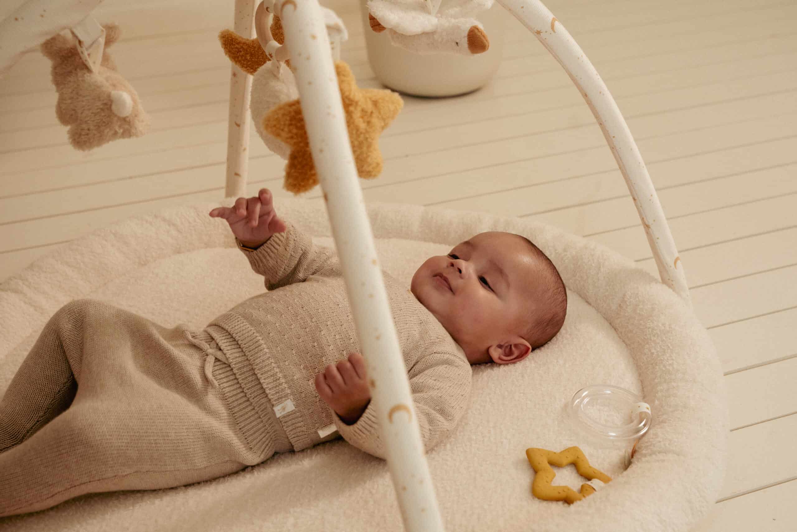 Ginásio e Tapete de Atividades | Newborn Naturals