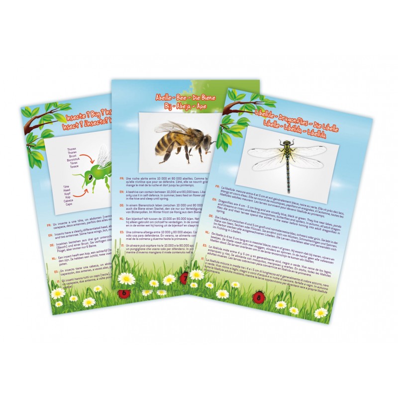 Aspirador Insectos