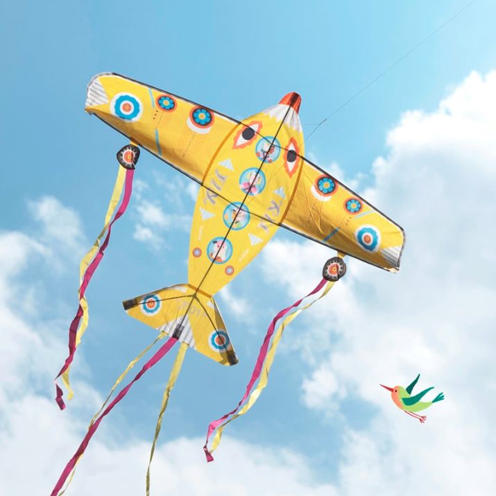 Maxi Plane | Papagaio
