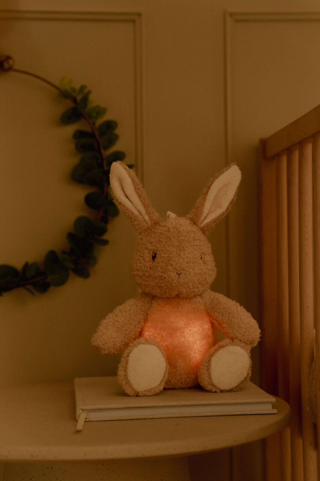 Light & Sound | Cuddle Bunny