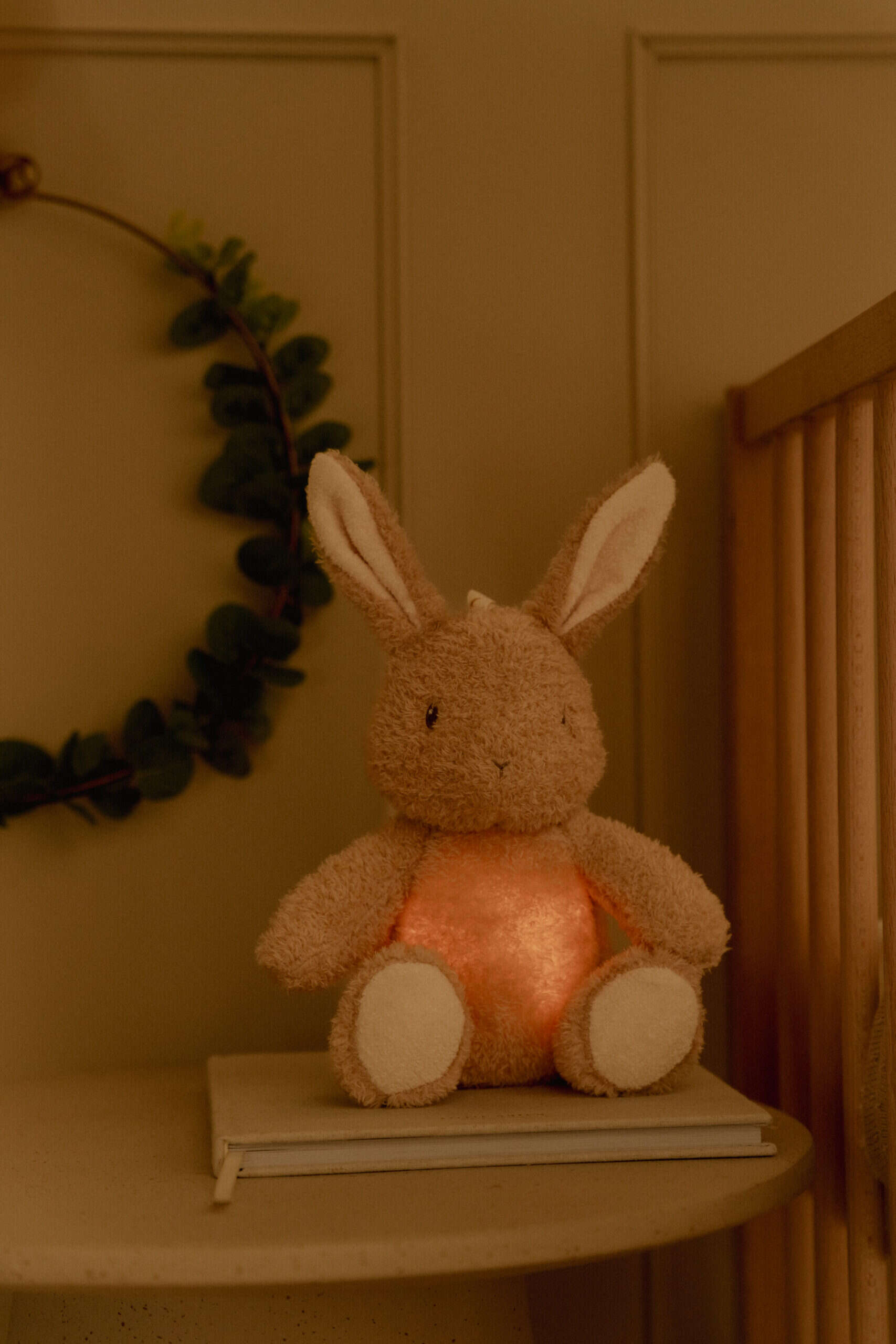 Light & Sound | Cuddle Bunny