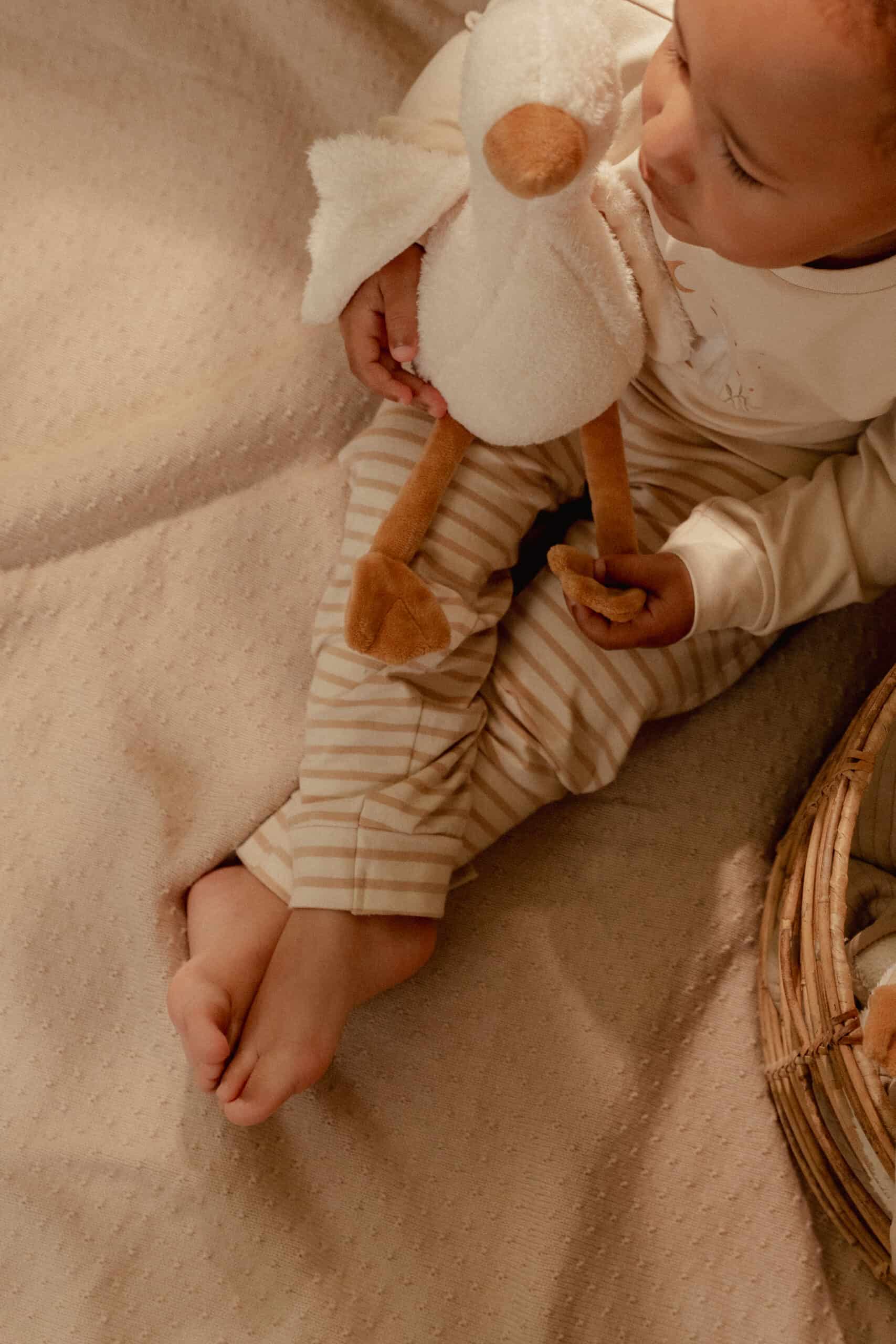 Cuddle | Little Goose | 25cm