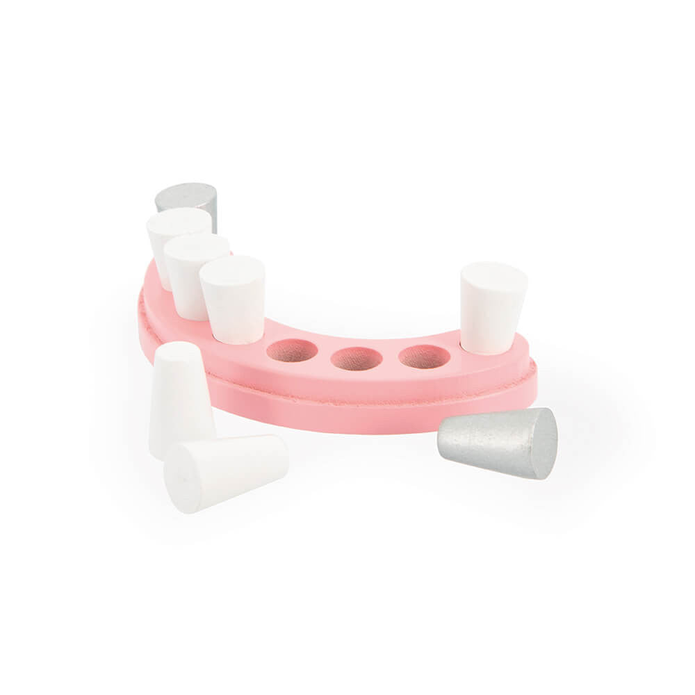 Estojo de Dentista Janod