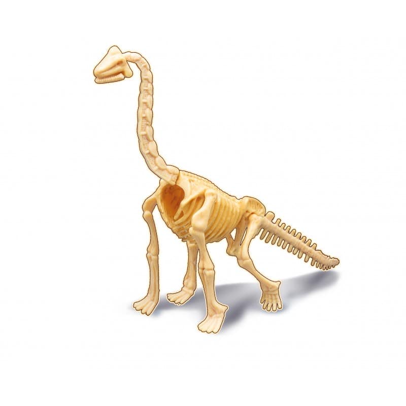 Dino Dig | Brachiosaurus
