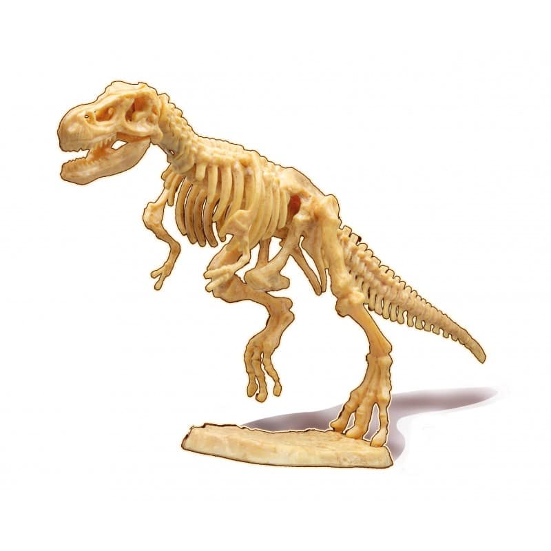 Dino Dig | T-Rex