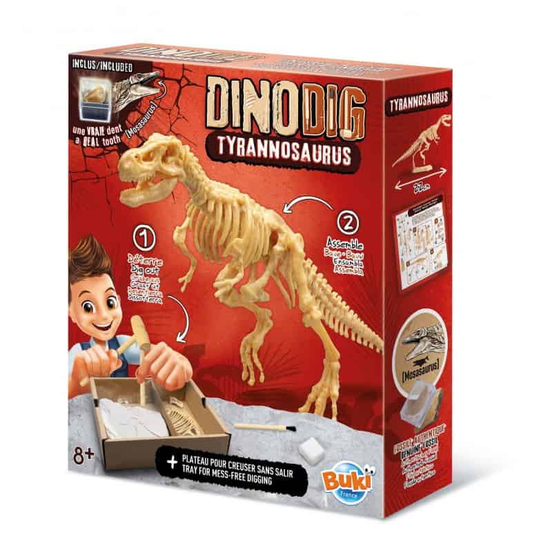 Dino Dig | T-Rex