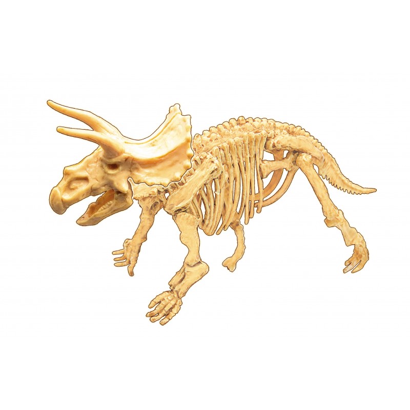 Dino Dig | Triceratops