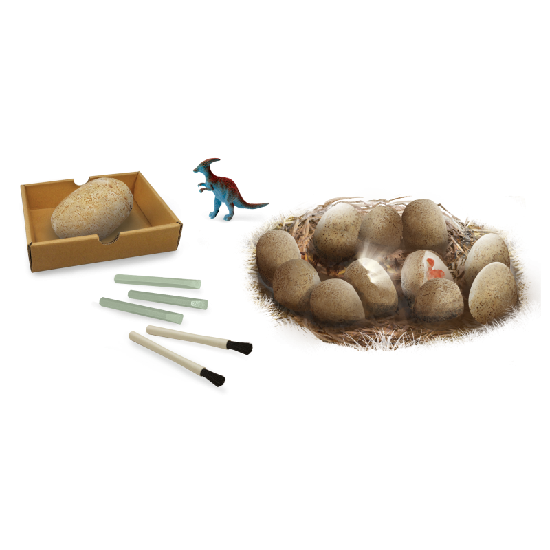 Dinossauro | Ovos Escavação | Maxi