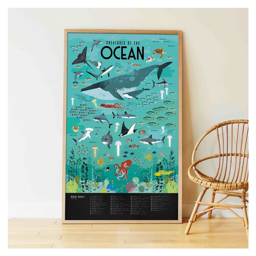 Discovery | Oceans | Poppik