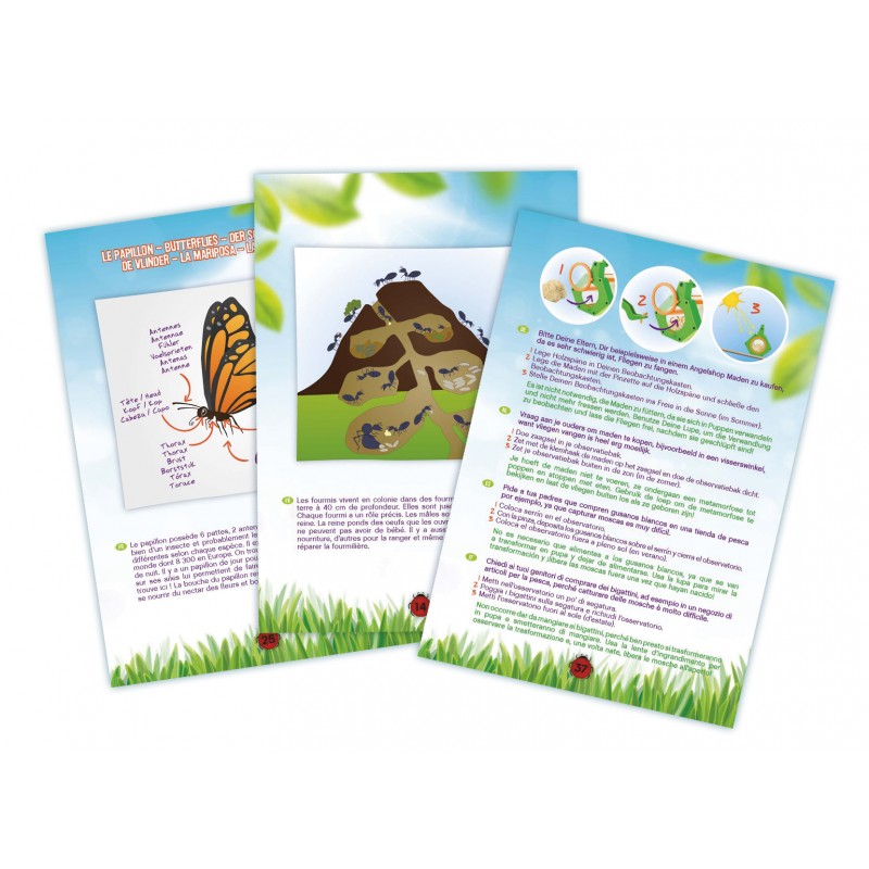 Kit Explorador | Insectos | 8 Experiências