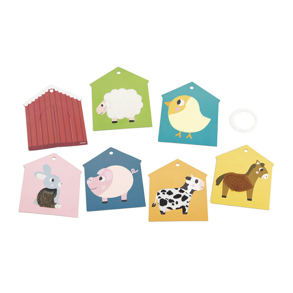 Cartas Táteis | Quinta