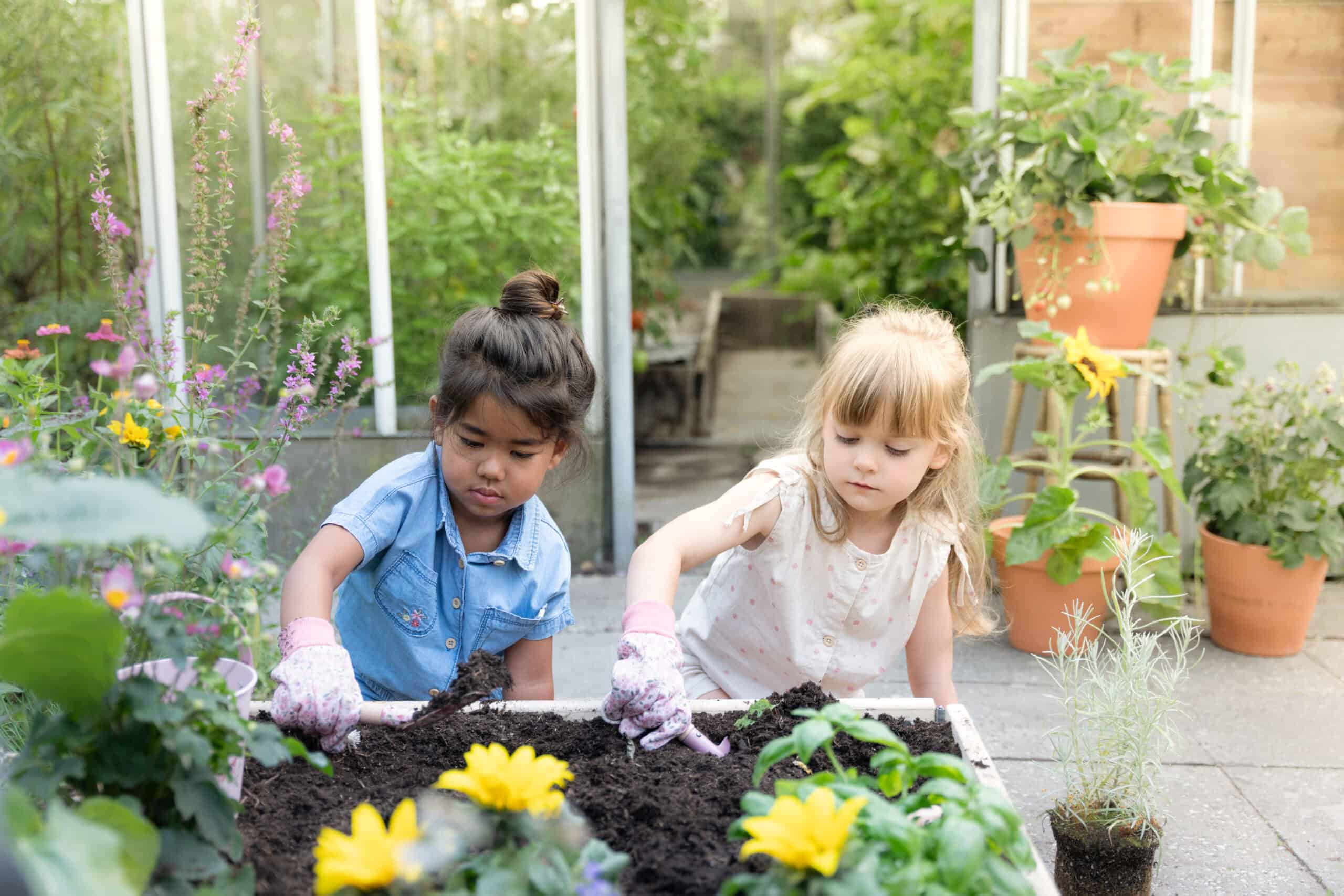 Luvas de Jardinagem | Fairy Garden