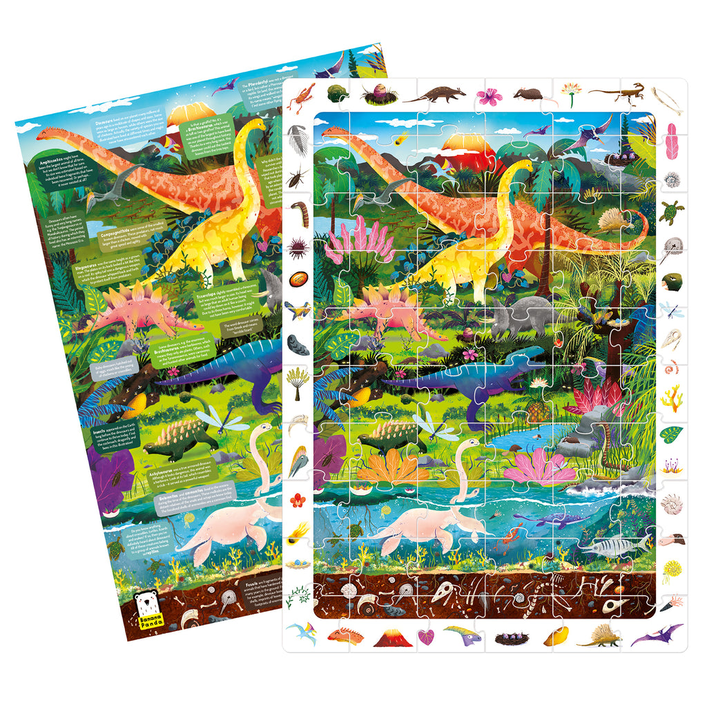 Observation | Puzzle Dinosaurs
