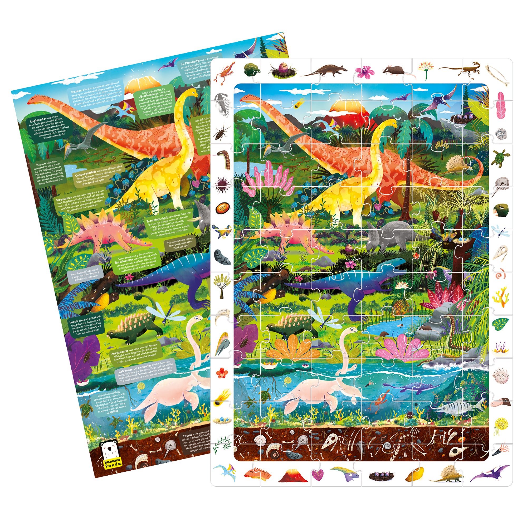Observation | Puzzle Dinosaurs