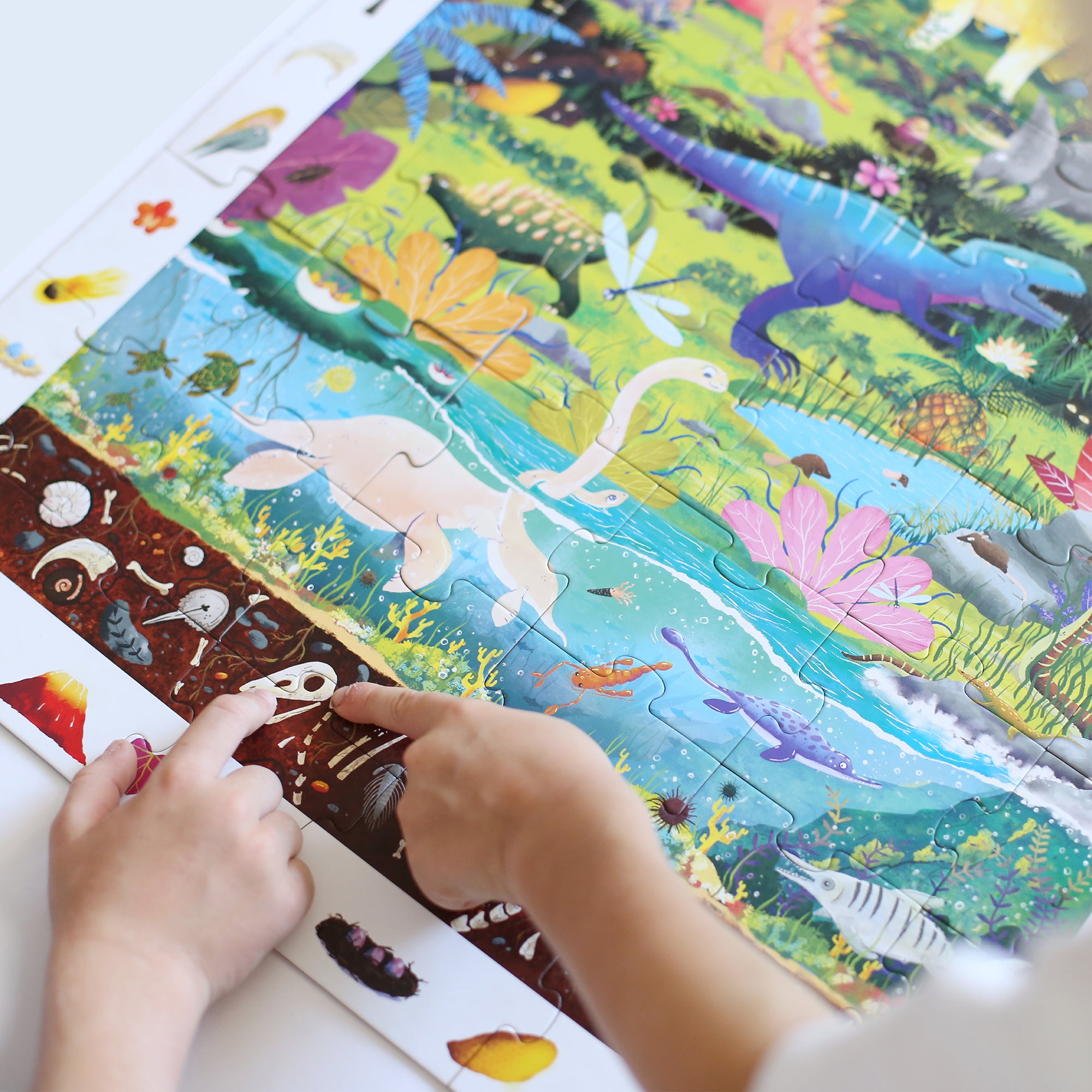 Observation | Puzzle Dinosaurs