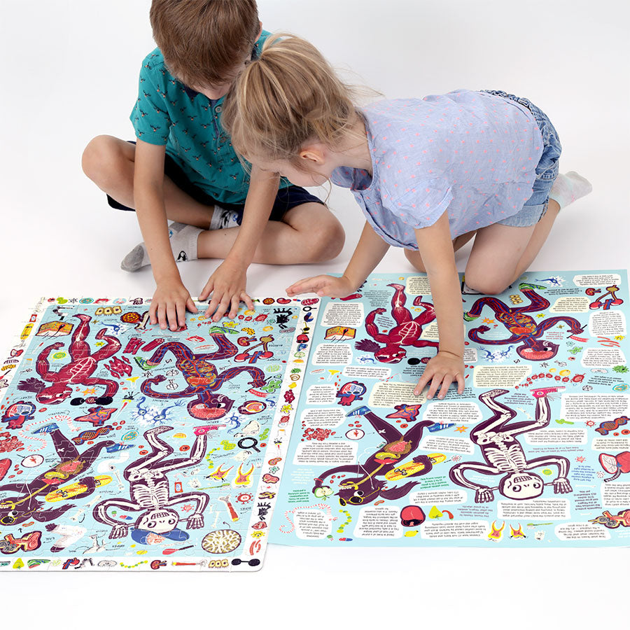 Observation | Puzzle My Body