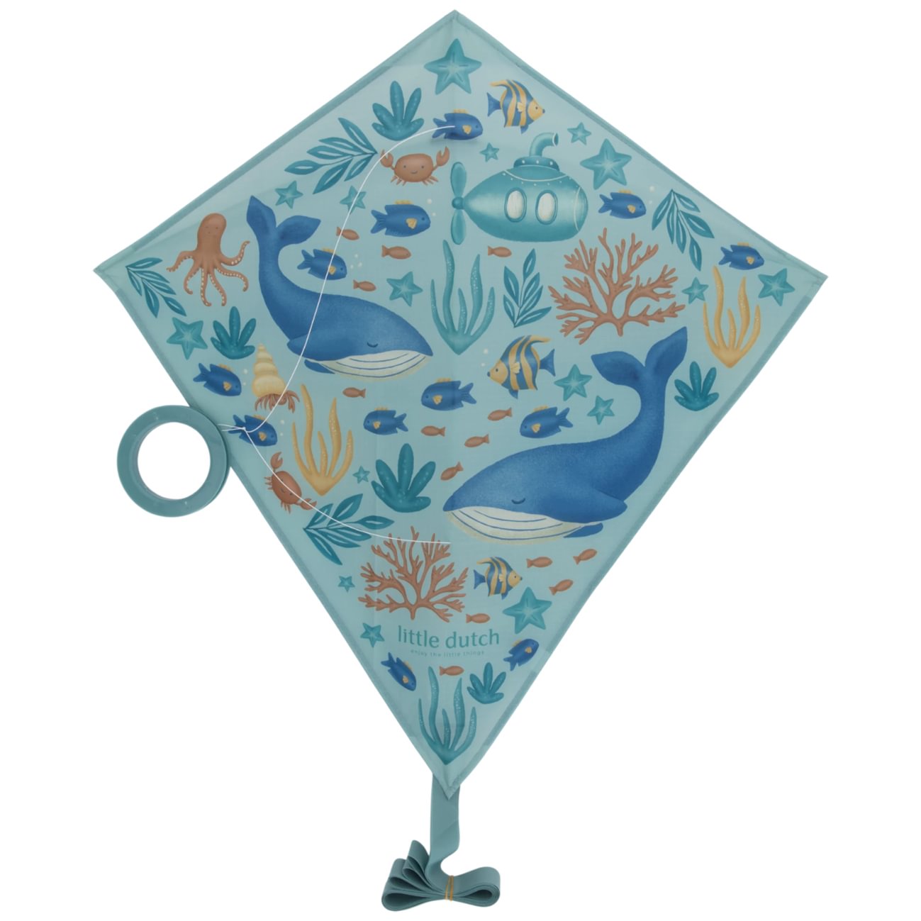 Papagaio Diamante | Ocean World