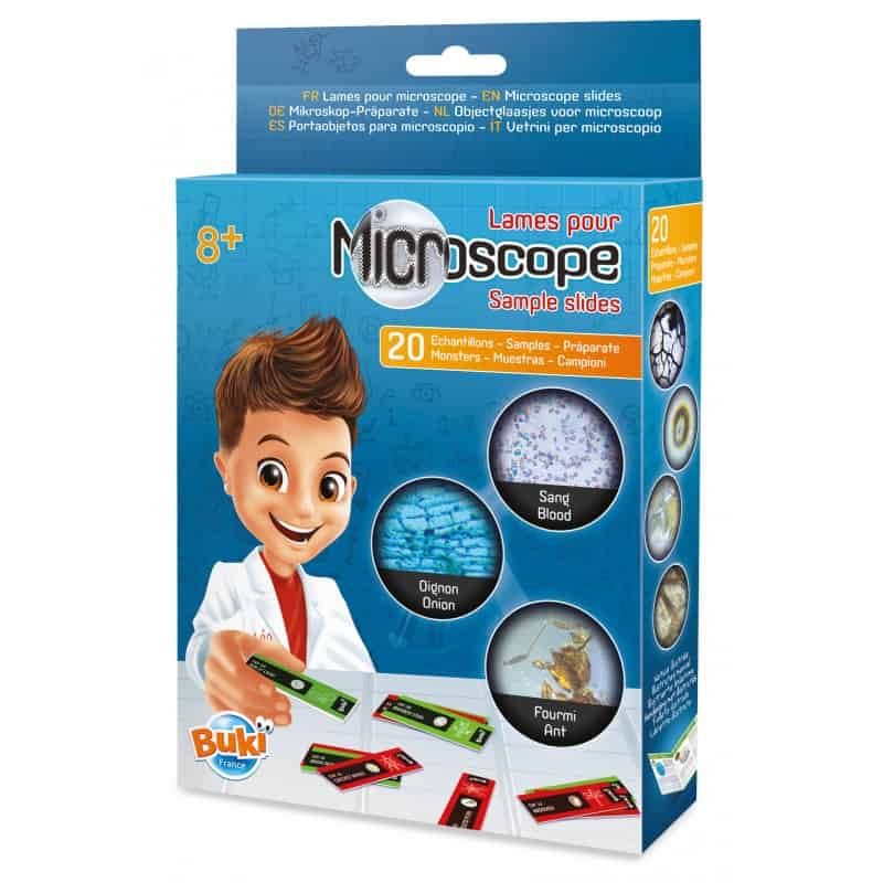 Amostras | Microscópio | 20 un