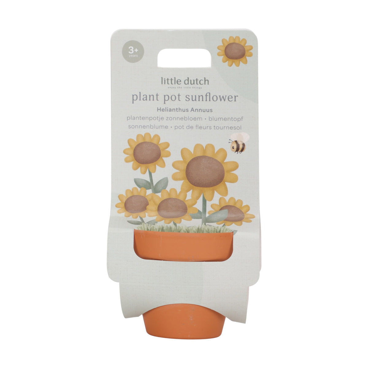 Planta e Vaso | Girassol - Little Dutch