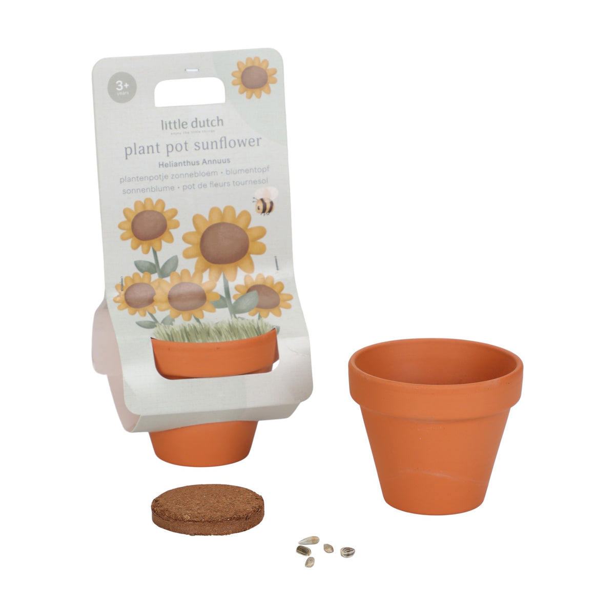 Planta e Vaso | Girassol - Little Dutch