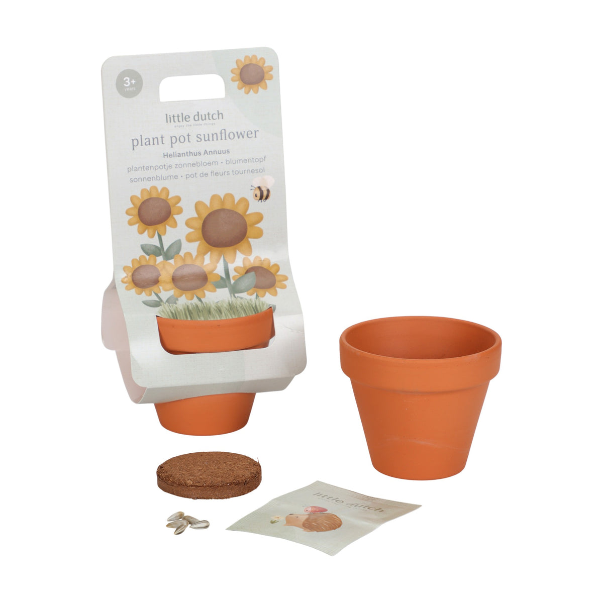 Planta e Vaso | Girassol - Little Dutch
