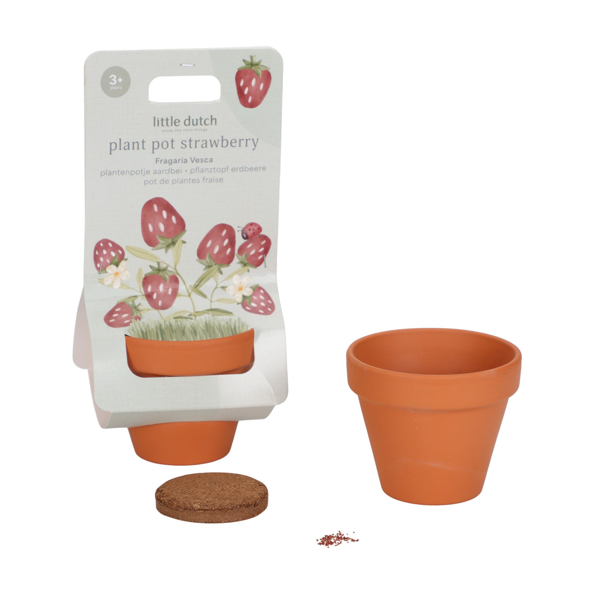 Planta e Vaso | Morango - Little Dutch