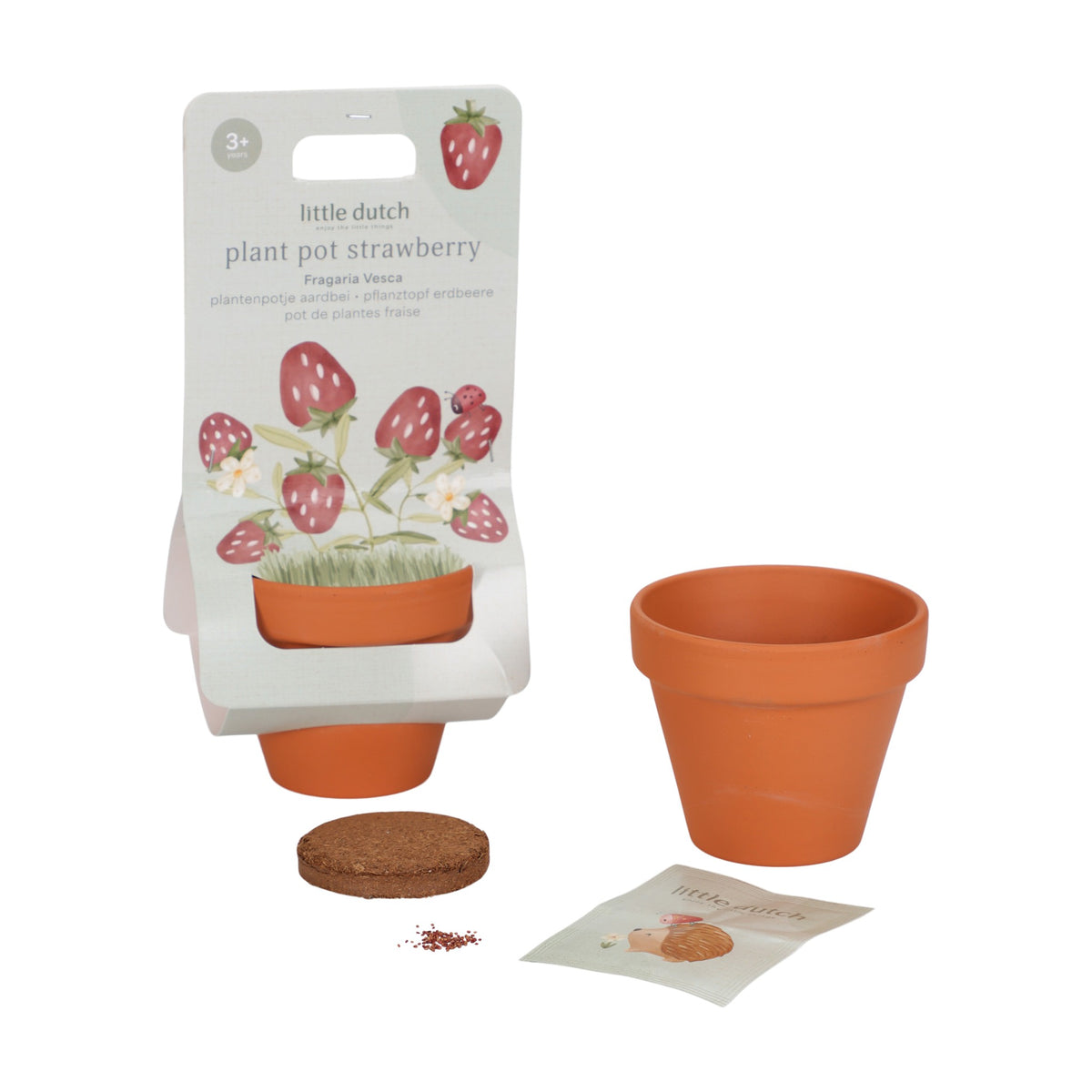 Planta e Vaso | Morango - Little Dutch