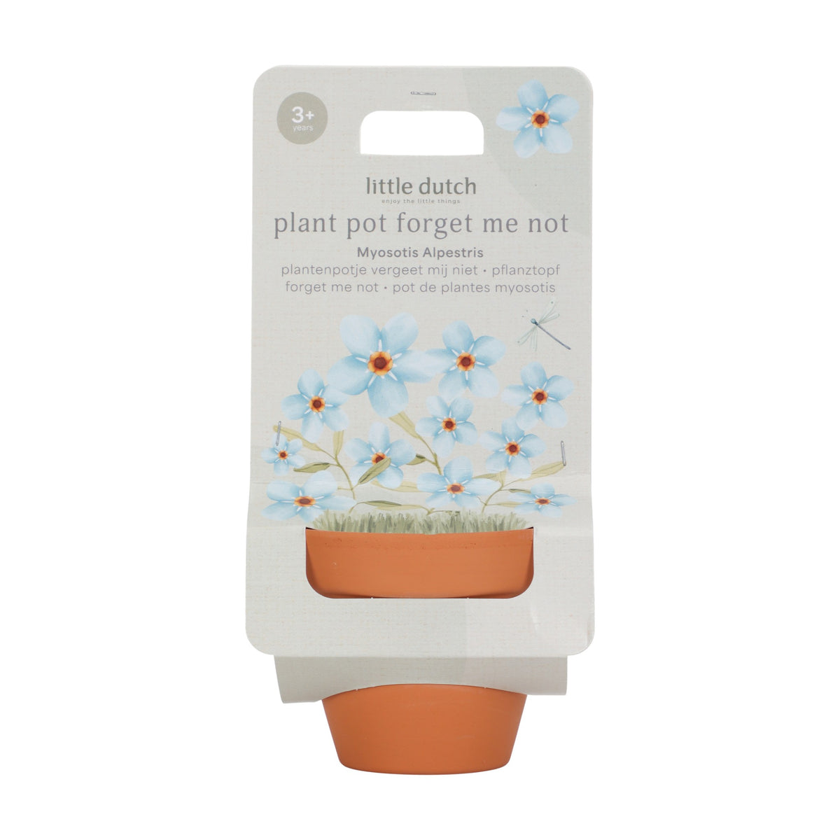 Planta e Vaso | Não me Esqueças - Little Dutch