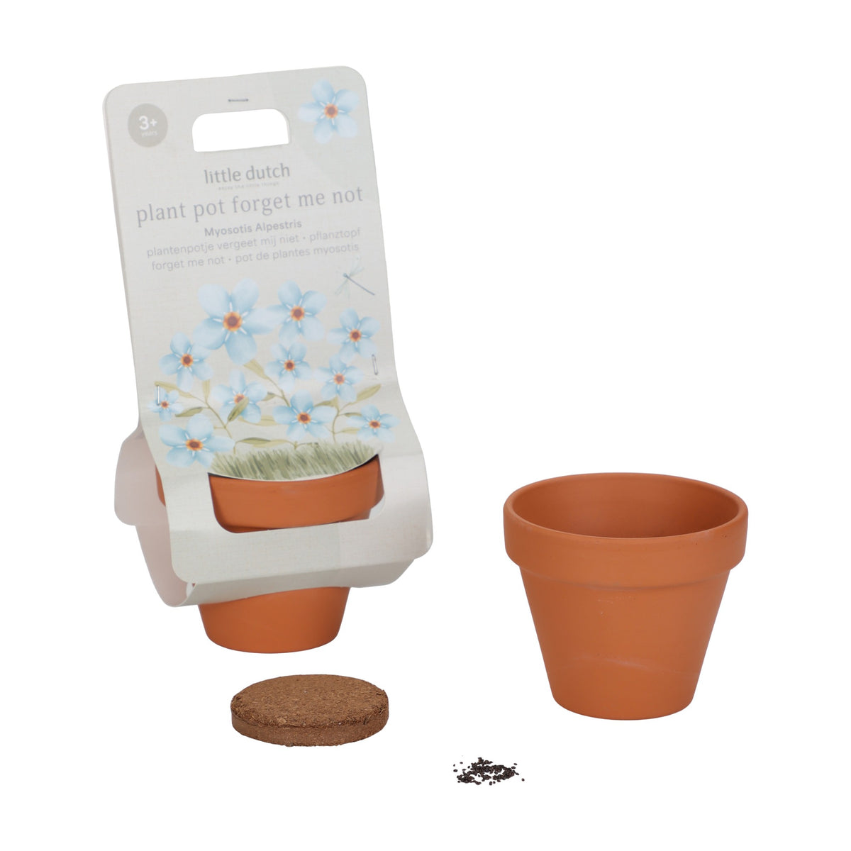 Planta e Vaso | Não me Esqueças - Little Dutch
