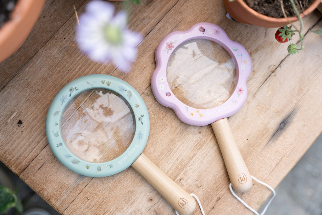 Lupa | Fairy Garden