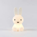 Miffy | First Light