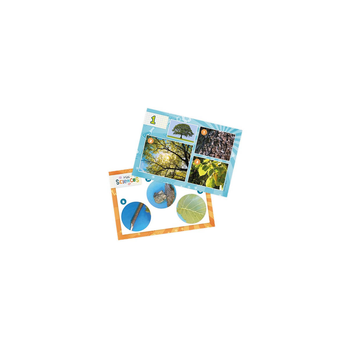 Microscópio Mini Sciences Buki - imagem 3