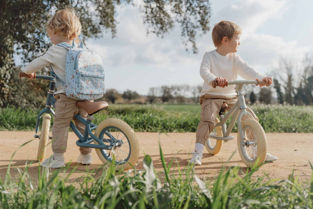 Bicicleta de Equilíbrio | Azul