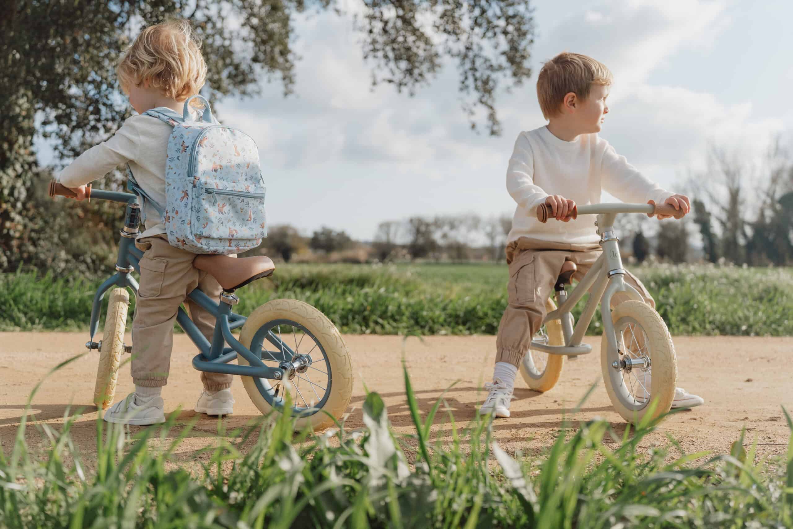 Bicicleta de Equilíbrio | Azul