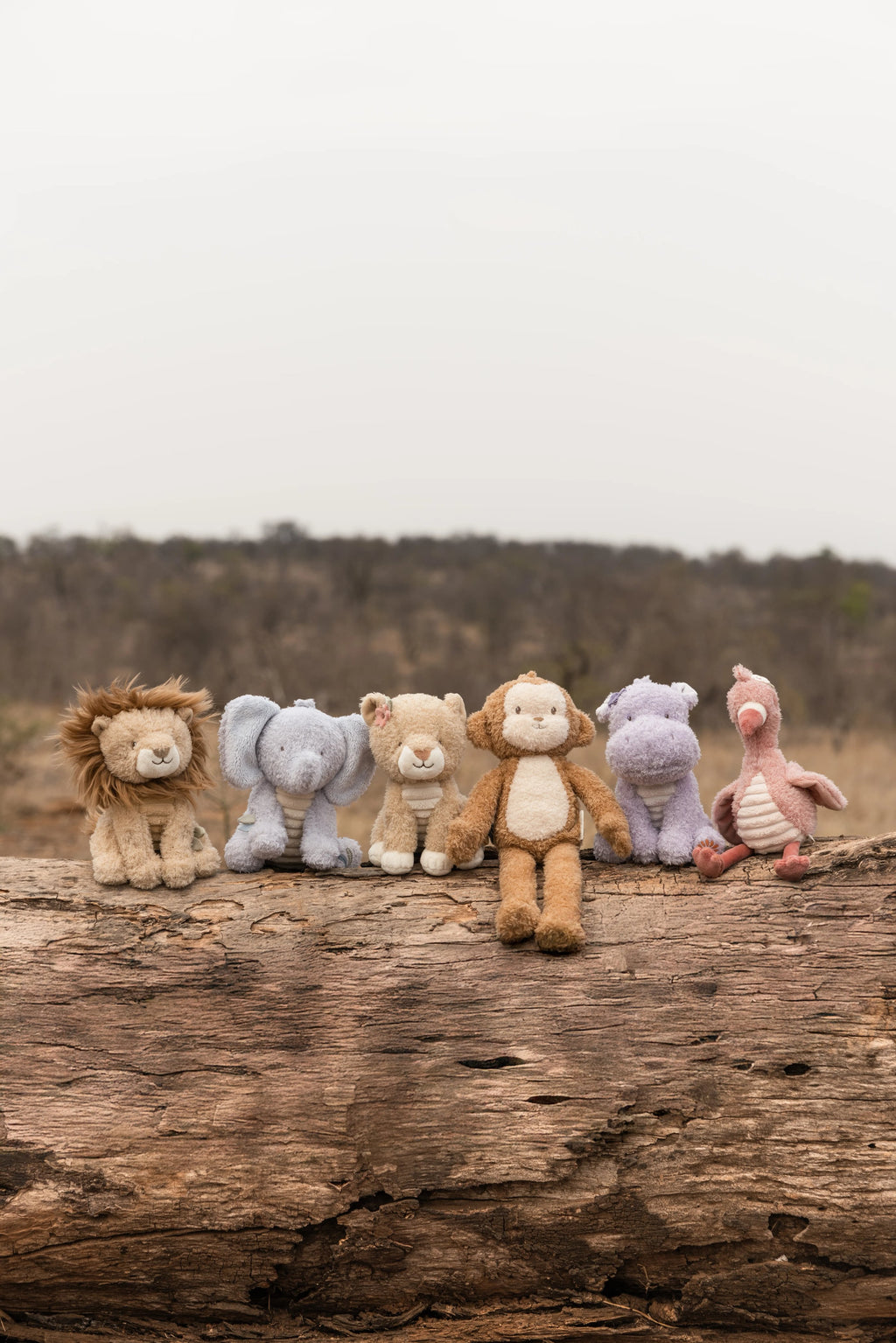 Peluche Leoa | Amarelo | 17 cm | Safari Friends