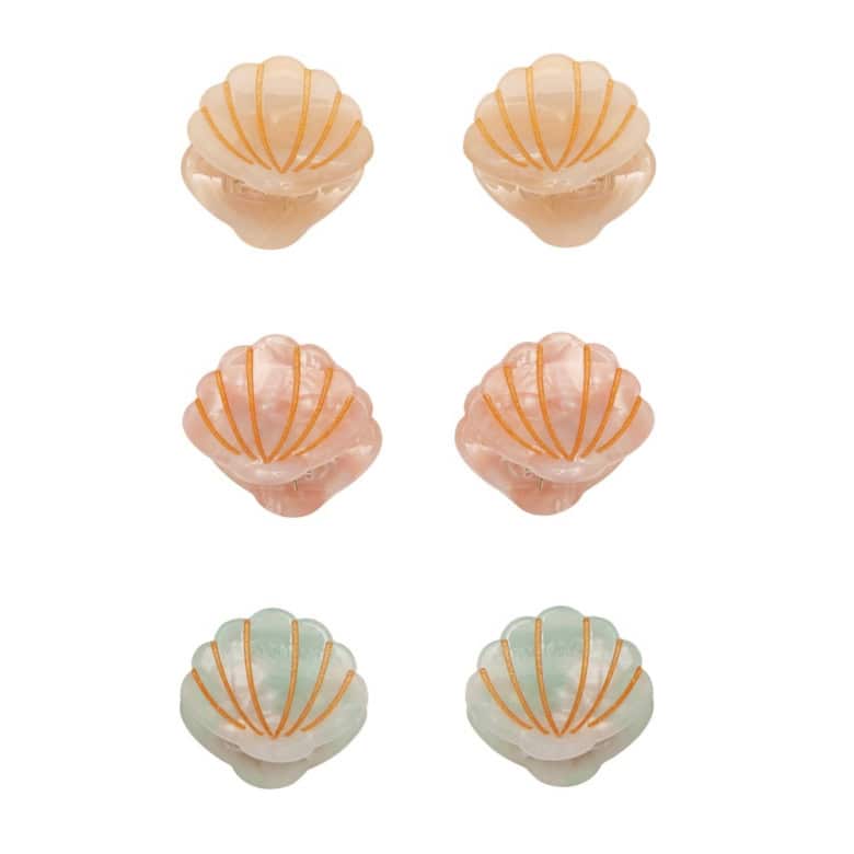 6 Mini Molas | SHELL