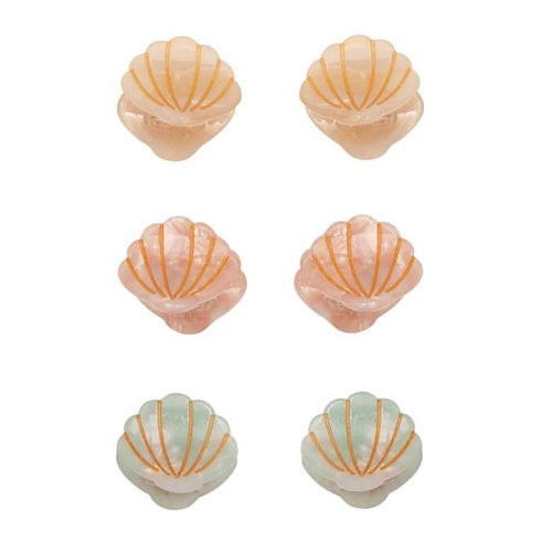 6 Mini Molas | SHELL