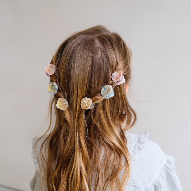 6 Mini Molas | SHELL