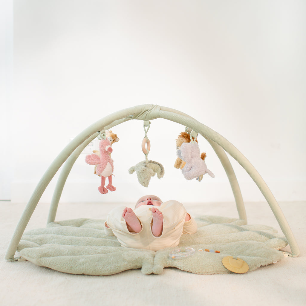 Tapete de Atividades com Arco | Safari Friends