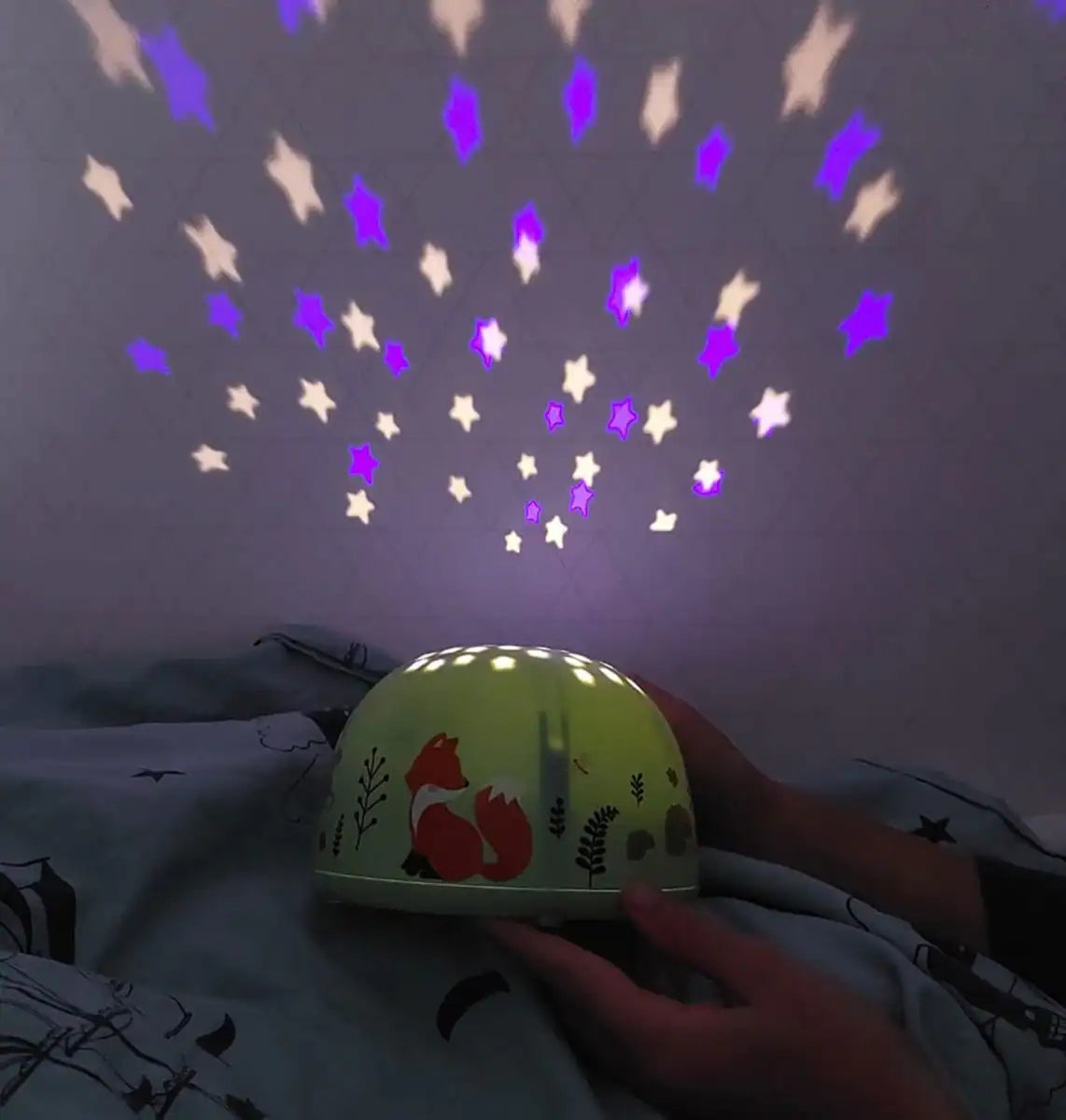 Projector Luz | Raposa