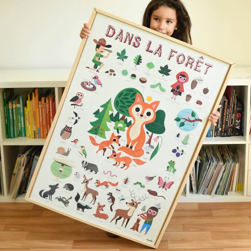 Discovery | Forest