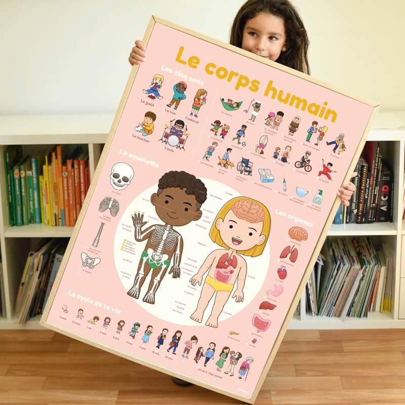 Discovery | Human Body