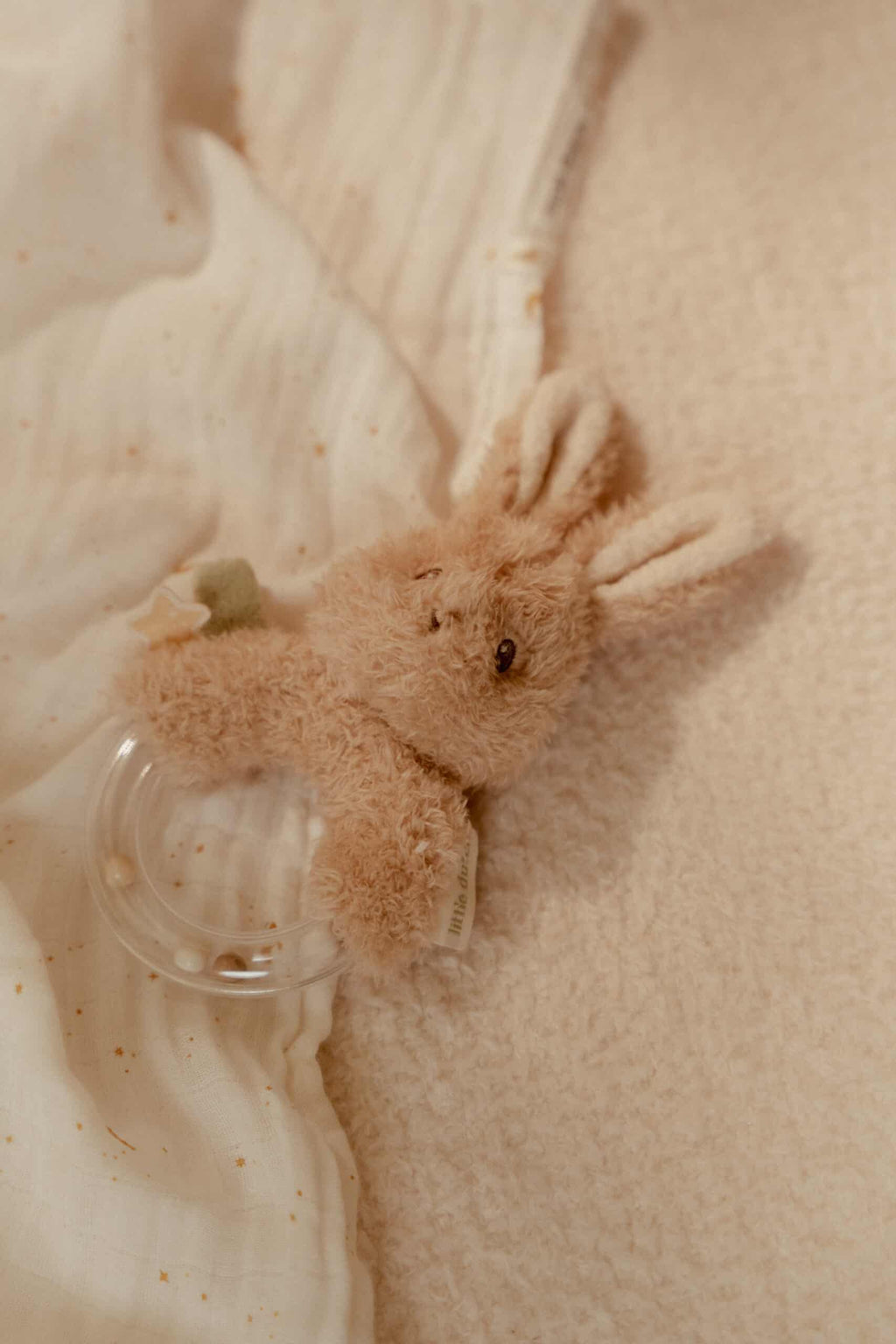 Anel Roca | Newborn Naturals