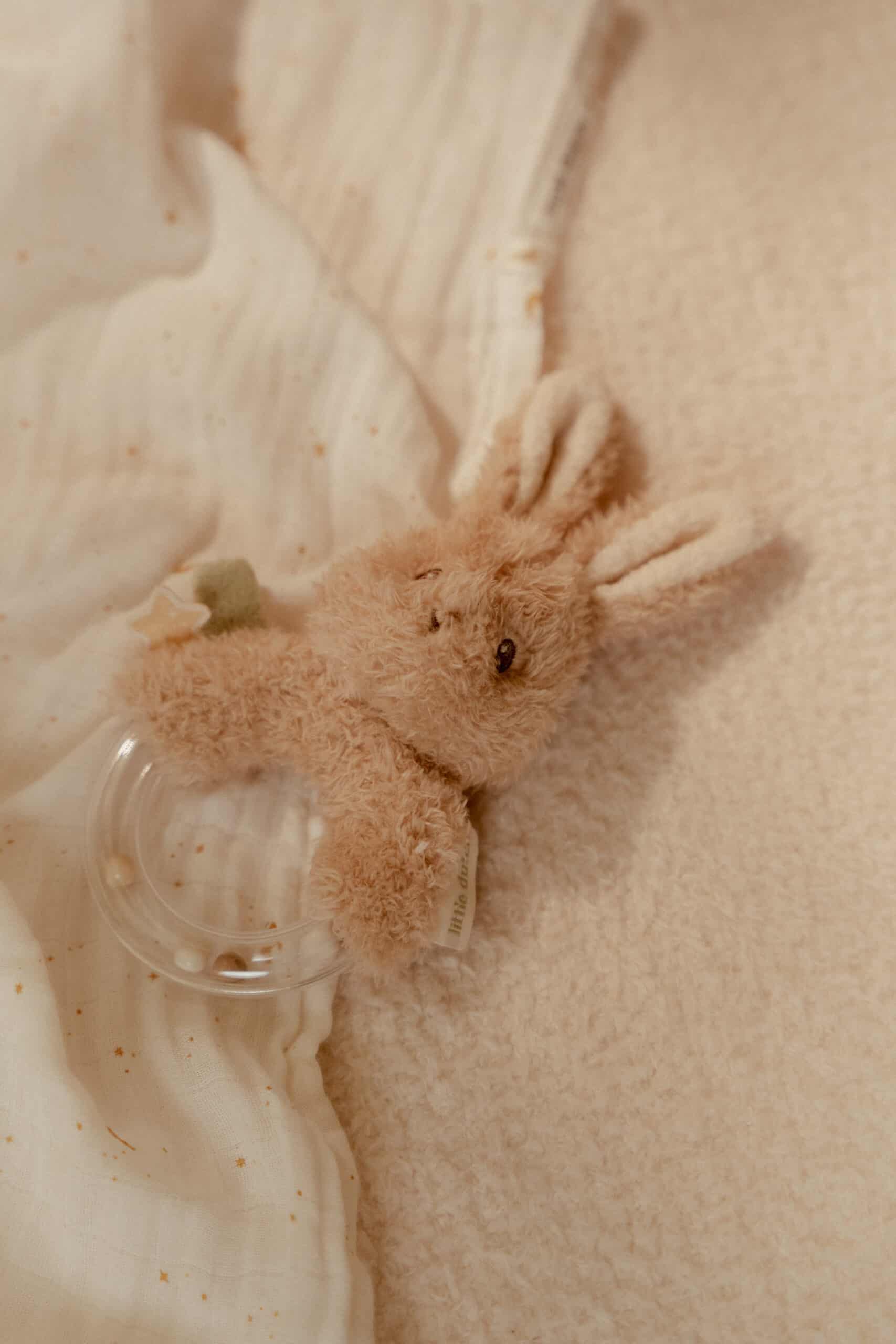 Anel Roca | Newborn Naturals