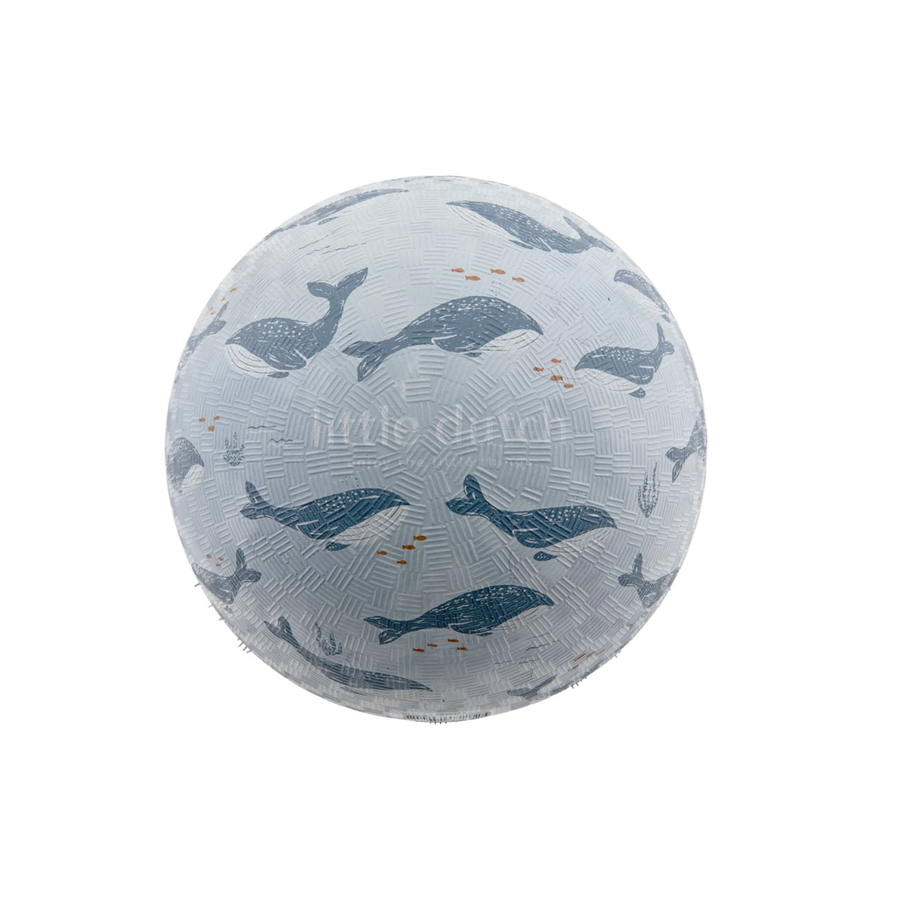 Bola de Borracha | Ocean World