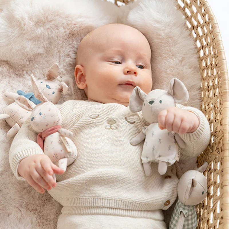 Peluche com chocalho  | Pocket Friends