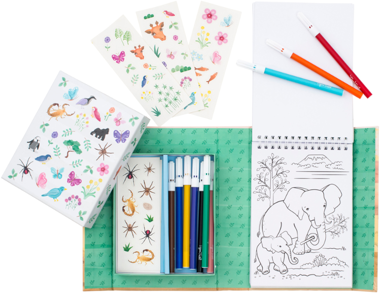 Set Colorir | Animais