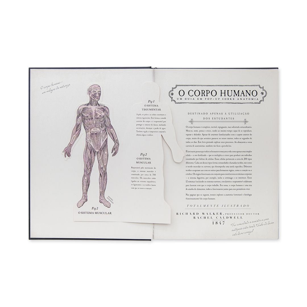 O Corpo Humano - Edicare - imagem 2