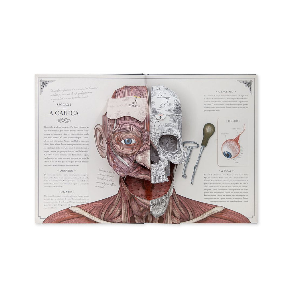 O Corpo Humano - Edicare - imagem 3