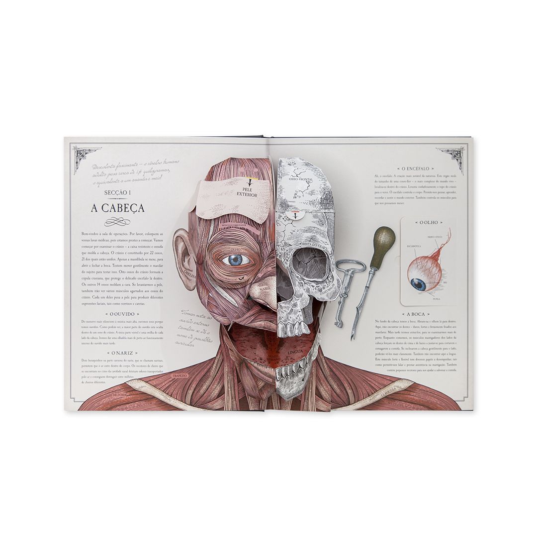 O Corpo Humano - Edicare - imagem 3